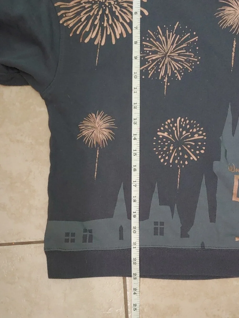 Disney 50th Anniversary Sweatshirt Women's L Gray Short Sleeve Rose Gold Print